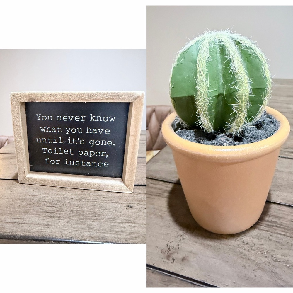Toilet Paper Sign / TP Holder / Small Cactus